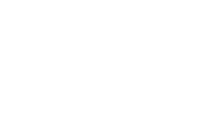 logo cariai w