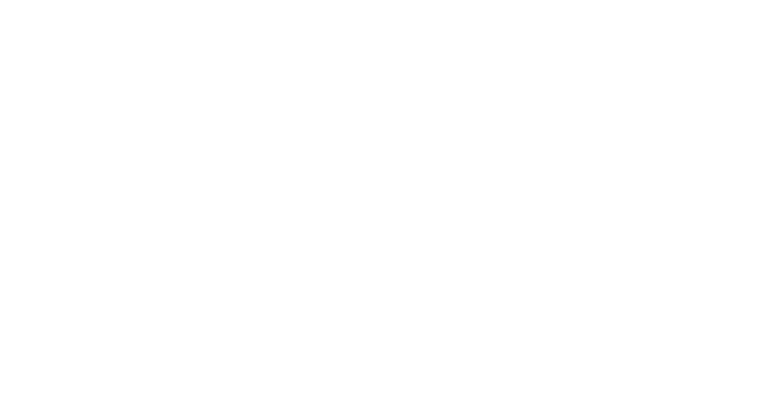 logo honne w