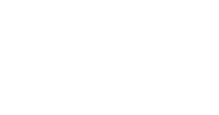logo isolucion w